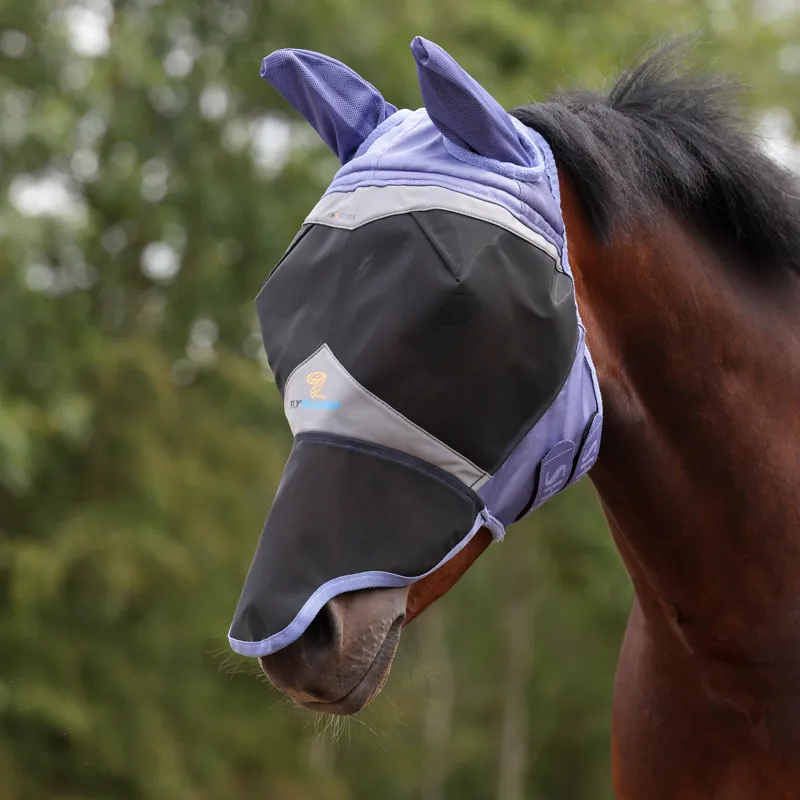 Fly Mask Ready!