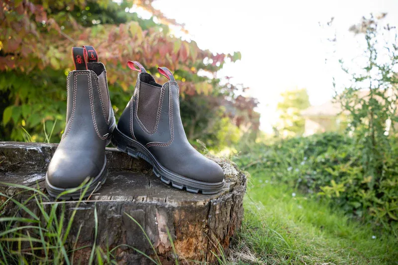 NOW STOCKING REDBACK!