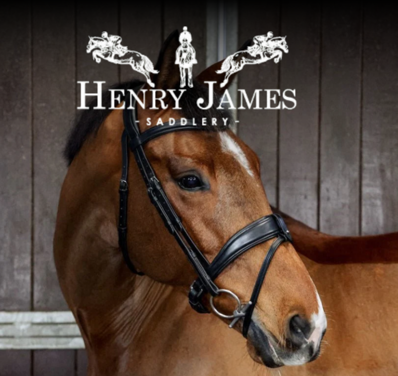 NOW STOCKING HENRY JAMES