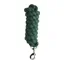 Dublin Everyday Lead Rope 2m - Forest Green