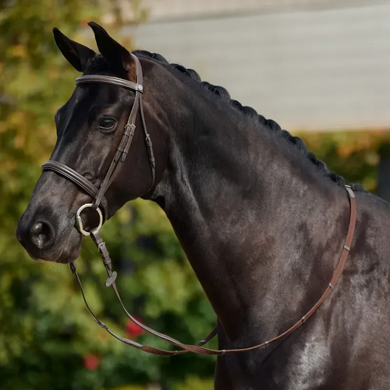 Dublin Padded Cavesson Bridle - Brown 