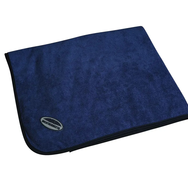 WeatherBeeta Dog Towel - Blue-1