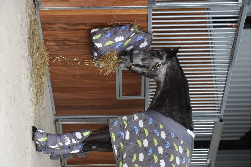 WeatherBeeta Hay Bag - Umbrella Print-1