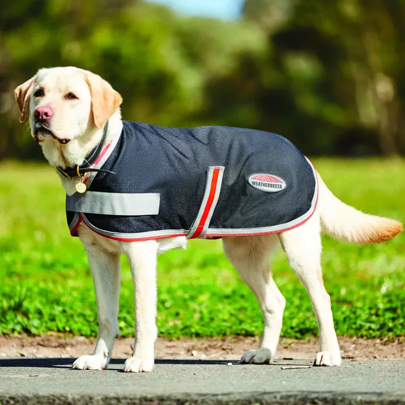 WeatherBeeta ComFiTec 1200D Therapy-Tec Dog Coat - Black/Silver/Red