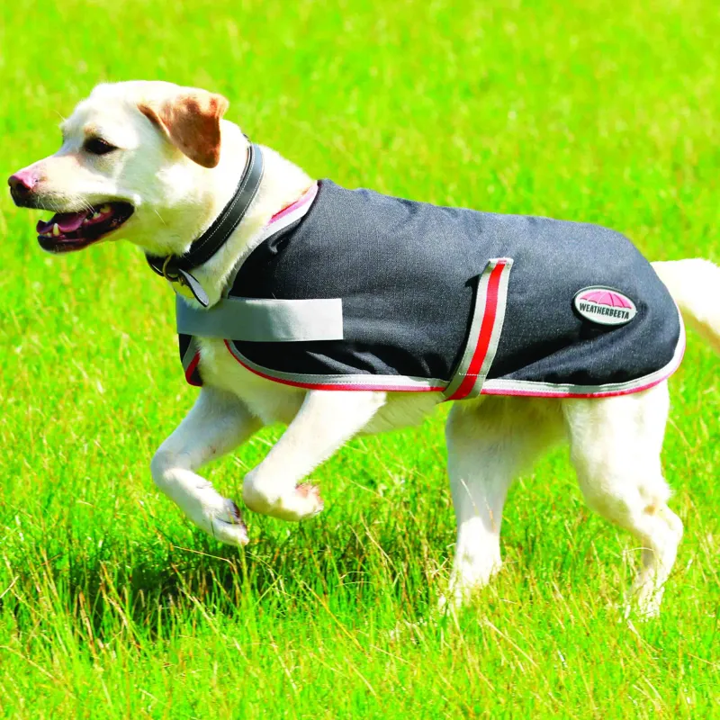 WeatherBeeta ComFiTec 1200D Therapy-Tec Dog Coat - Black/Silver/Red-2