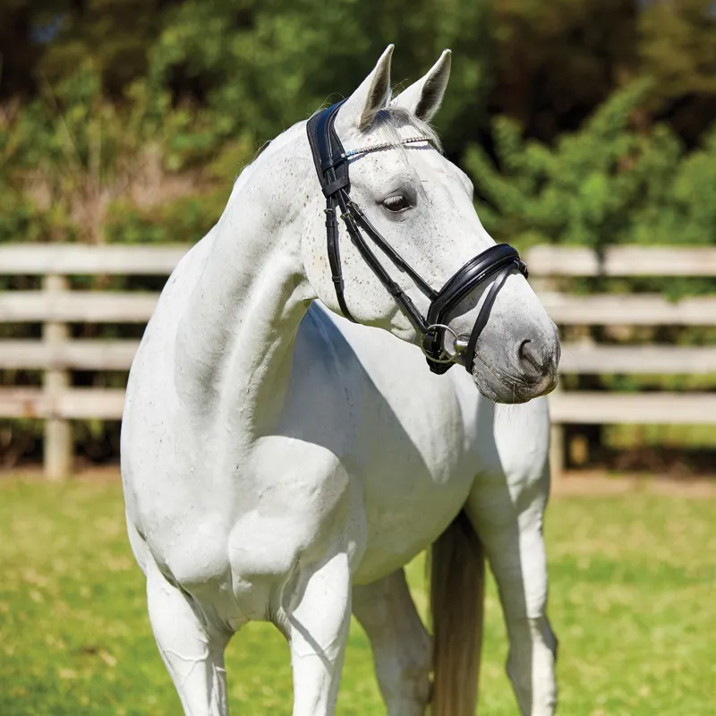 WeatherBeeta Therapy-Tec Anatomical Poll Pad - Black/Red-1