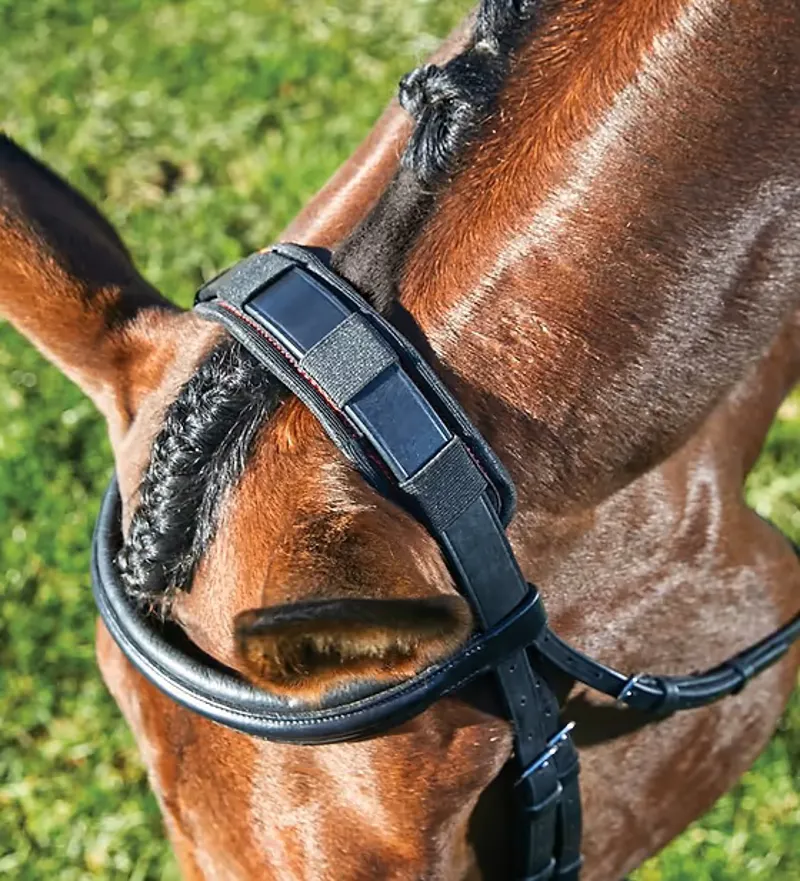 WeatherBeeta Therapy-Tec Poll Pad - Black