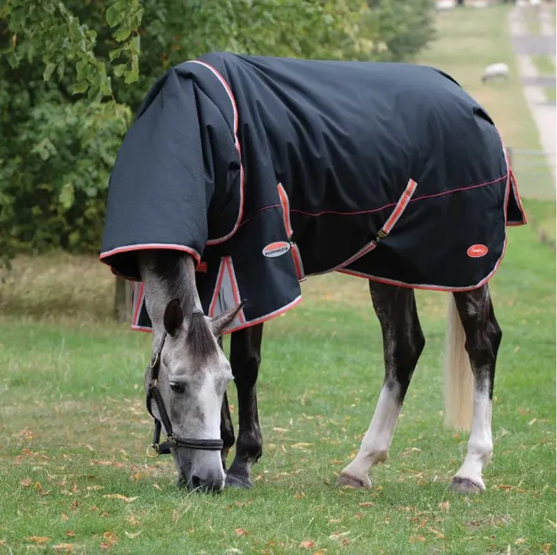 WeatherBeeta ComFiTec Premier with Therapy-Tec Detach-A-Neck 220g Rug - Black/Silver