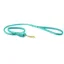 WeatherBeeta Rolled Leather Dog Lead - Teal