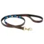 WeatherBeeta Polo Leather Dog Lead - Cowdray Brown/Blue/Blue