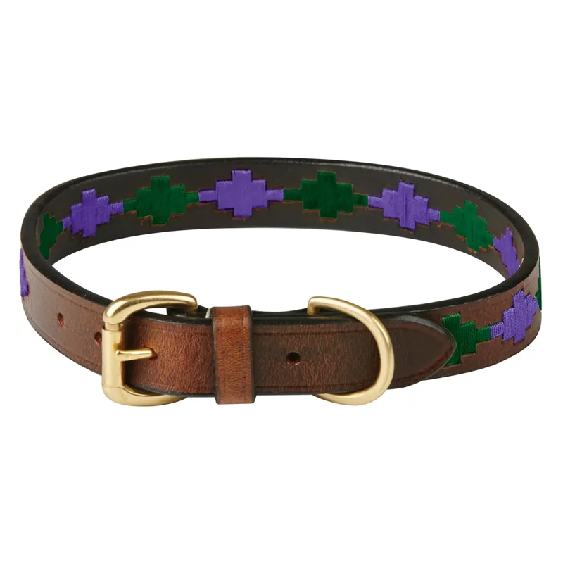 WeatherBeeta Polo Leather Dog Collar - Brown/Purple/Teal