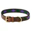 WeatherBeeta Polo Leather Dog Collar - Brown/Purple/Teal