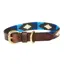 WeatherBeeta Polo Leather Dog Collar - Cowdray Brown/Blue/Blue