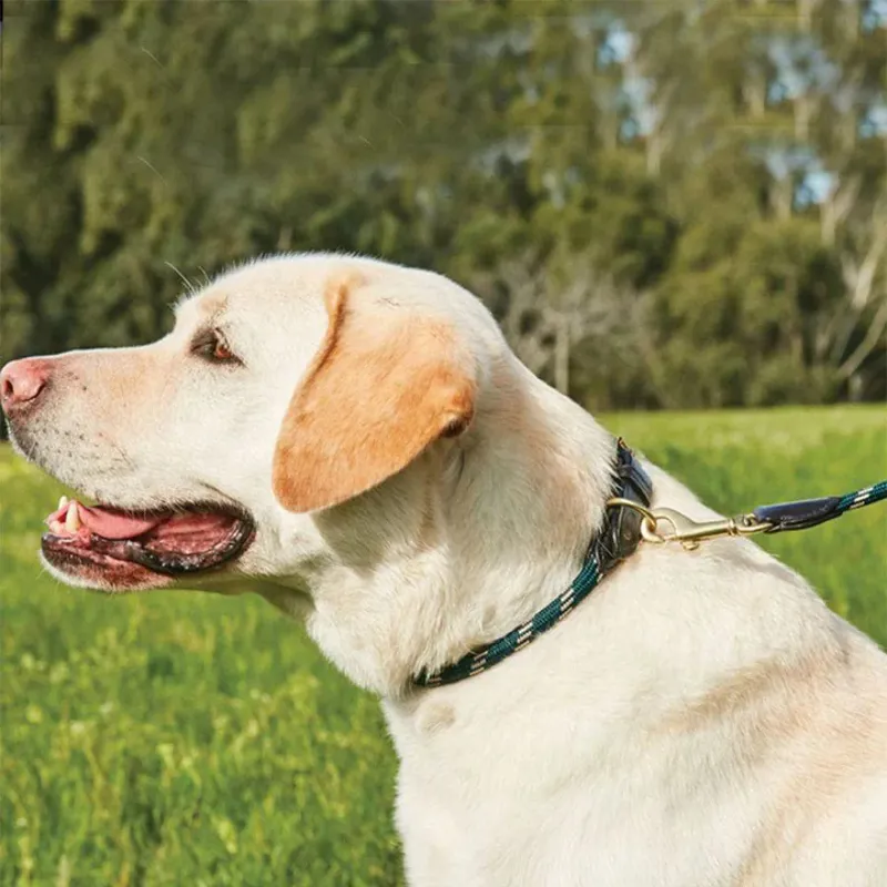 WeatherBeeta Rope Leather Dog Collar - Hunter Green/Brown-1