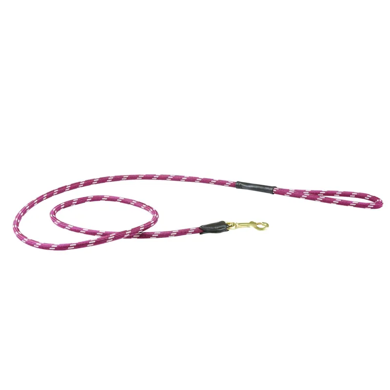 WeatherBeeta Rope Leather Dog Lead - Burgundy/Brown