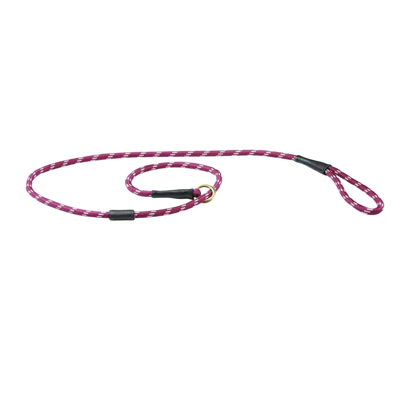 WeatherBeeta Rope Leather Slip Dog Lead - Burgundy/Brown