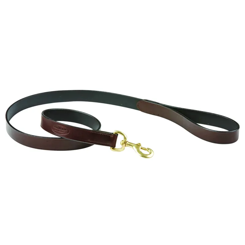 WeatherBeeta Leather Dog Lead - Brown 