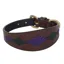 WeatherBeeta Lurcher Polo Leather Dog Collar - Brown/Purple/Teal