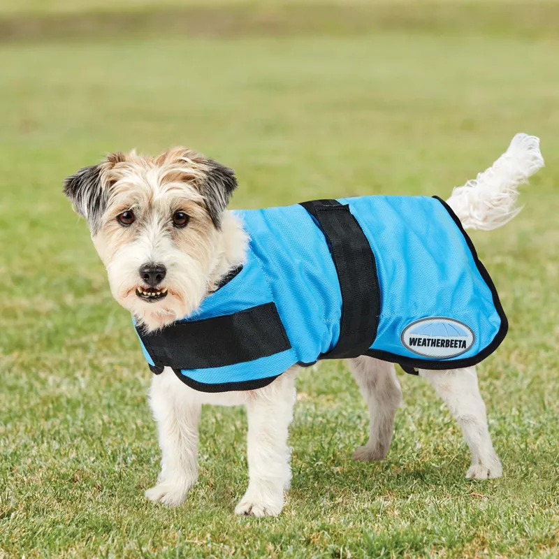 WeatherBeeta Therapy-Tec Cooling Dog Coat - Blue-2