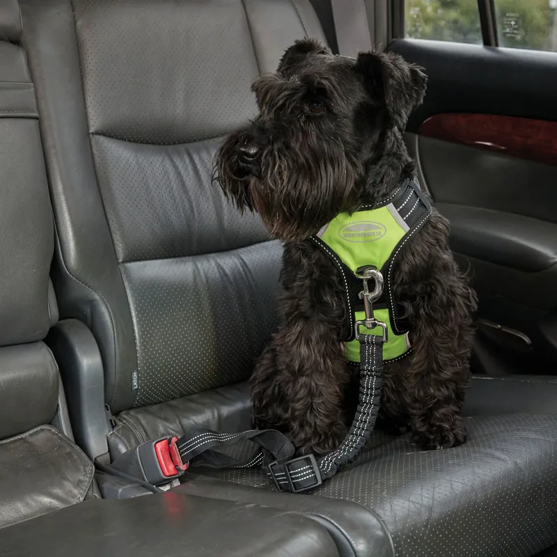 WeatherBeeta Car Seat Belt Attachment - Black-1