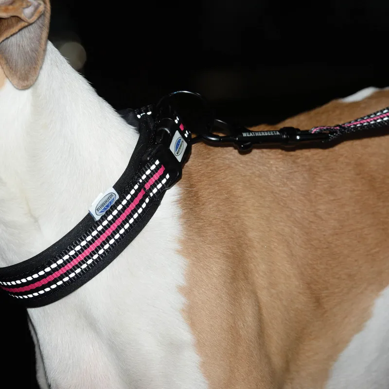 WeatherBeeta Reflective Dog Collar - Black/Pink-1