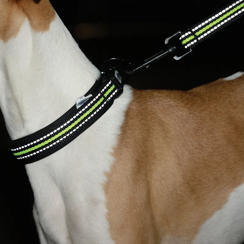 WeatherBeeta Reflective Dog Collar - Black/Yellow-3