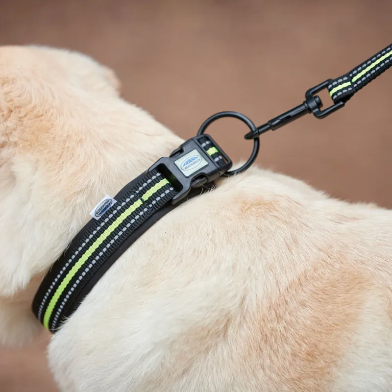 WeatherBeeta Reflective Dog Collar - Black/Yellow-1