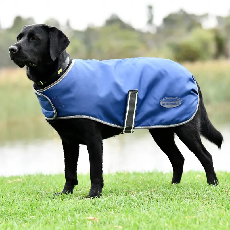 WeatherBeeta ComFiTec Windbreaker Free Dog Coat - Dark Blue/Grey/White