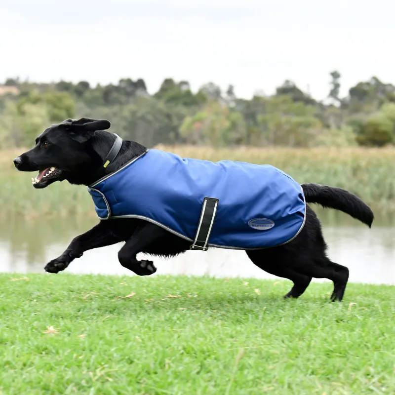 WeatherBeeta ComFiTec Windbreaker Free Dog Coat - Dark Blue/Grey/White-2
