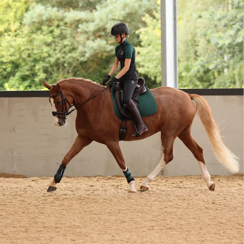 Shires Aubrion Team Riding Tights - Black-7
