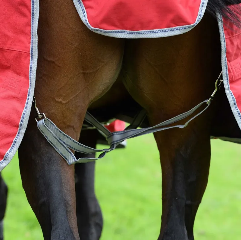 WeatherBeeta ComFiTec Classic Combo Neck 100g Turnout Rug - Red/Silver-3