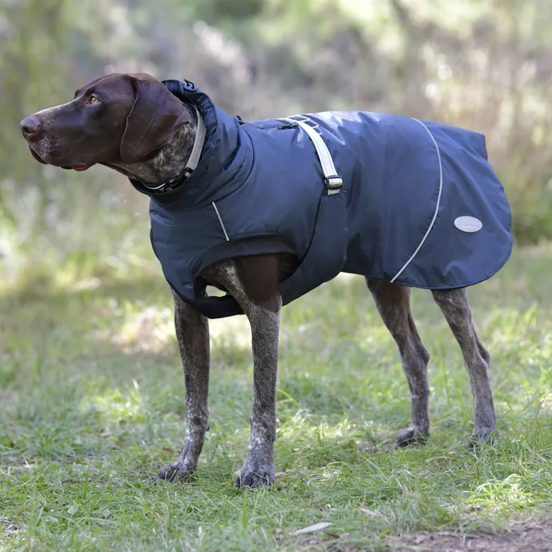 WeatherBeeta Explorer 160g Dog Coat - Navy
