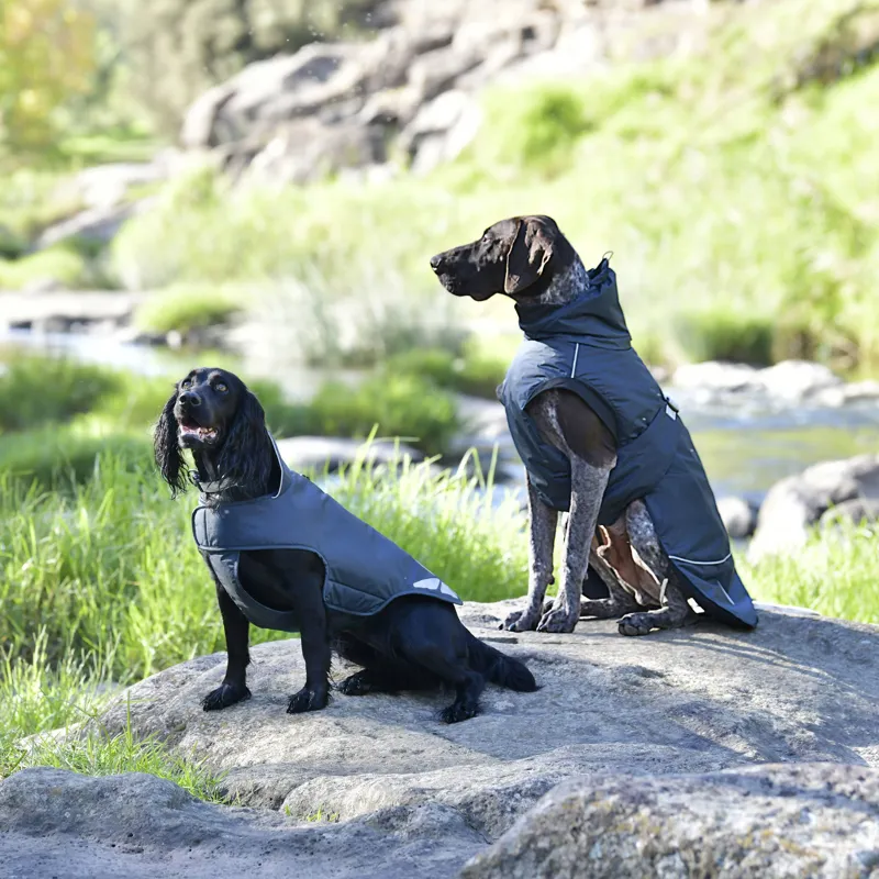 WeatherBeeta Explorer 160g Dog Coat - Navy-1