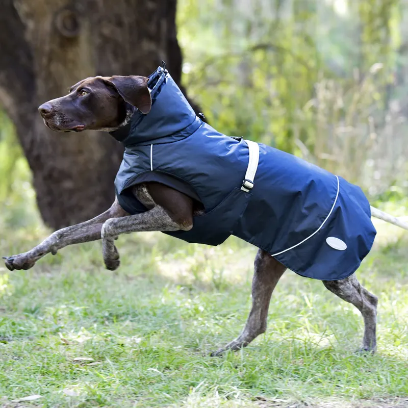 WeatherBeeta Explorer 160g Dog Coat - Navy-2