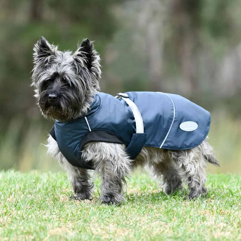 WeatherBeeta Explorer 160g Dog Coat - Navy-3