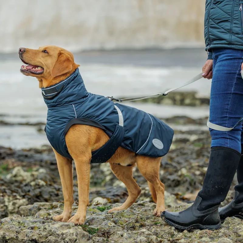 WeatherBeeta Explorer 160g Dog Coat - Navy-5