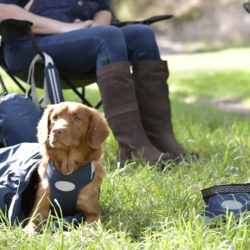 WeatherBeeta Explorer Dog Sleeping Bag - Navy-2