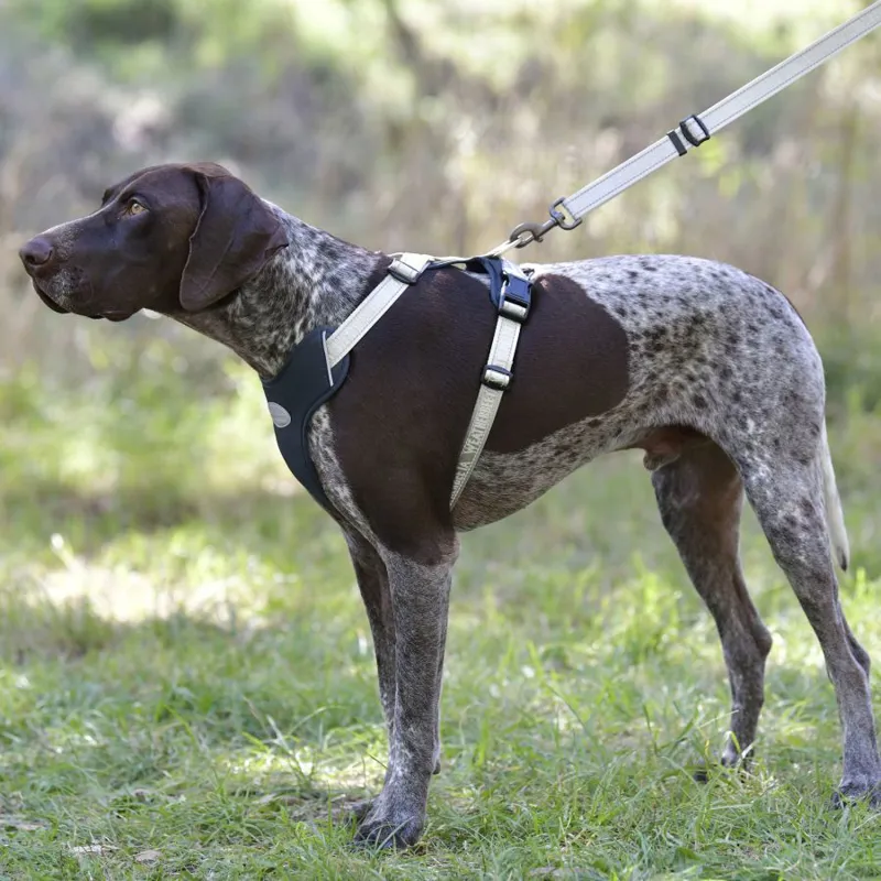 WeatherBeeta Explorer Dog Harness - Navy-2