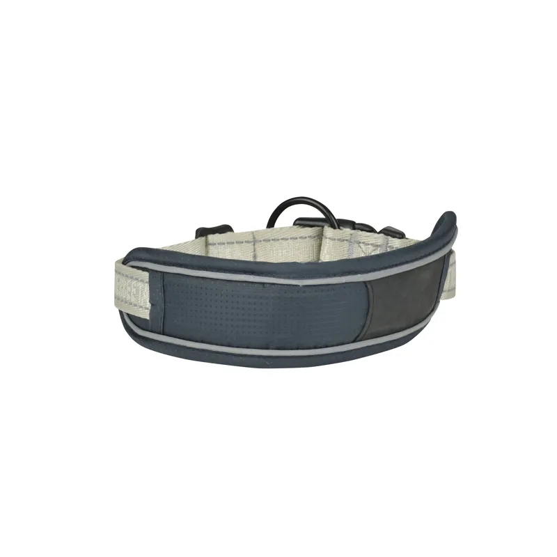 WeatherBeeta Explorer Dog Collar - Navy-1
