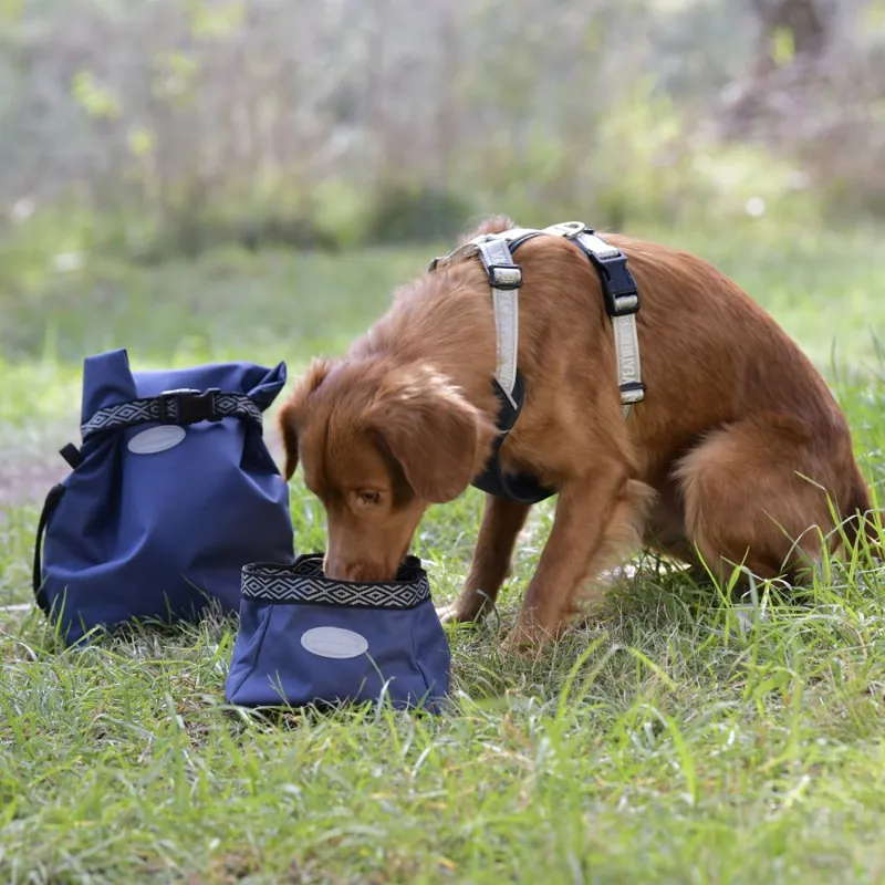 WeatherBeeta Explorer Dog Water/Feed Bowl - Navy-3