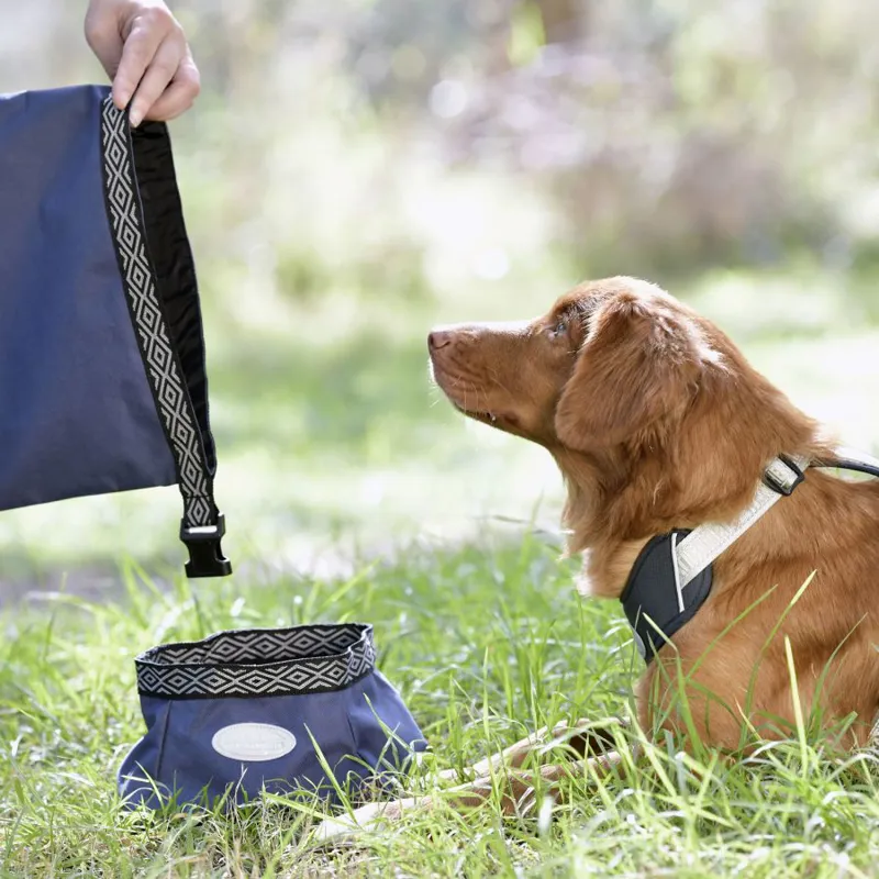 WeatherBeeta Explorer Dog Water/Feed Bowl - Navy-1