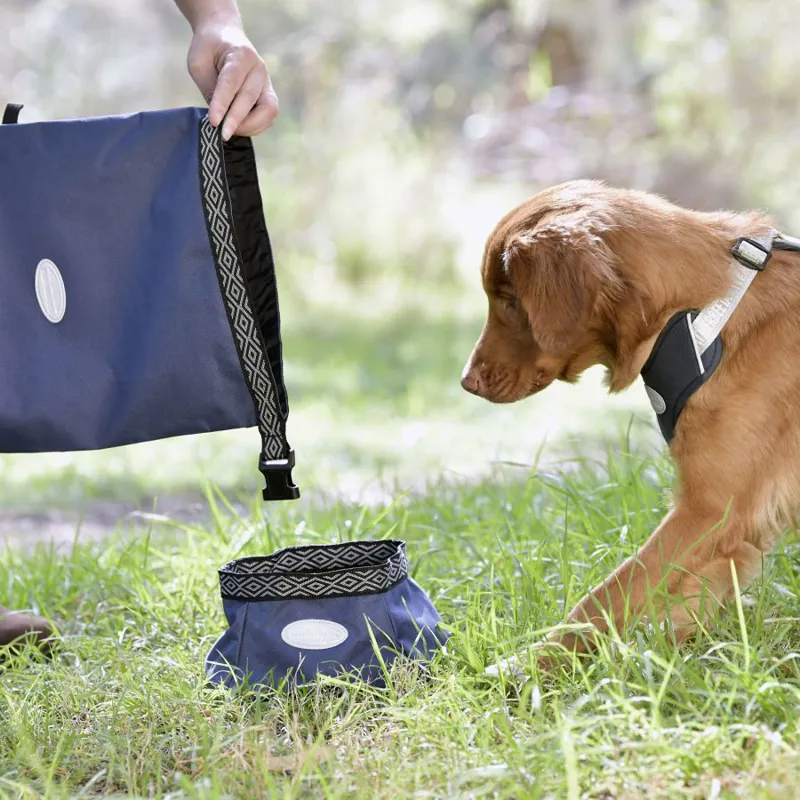 WeatherBeeta Explorer Dog Food Portable Bag - Navy-1