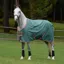 WeatherBeeta ComFiTec Tyro 50g Standard Neck Turnout Rug Plus - Green