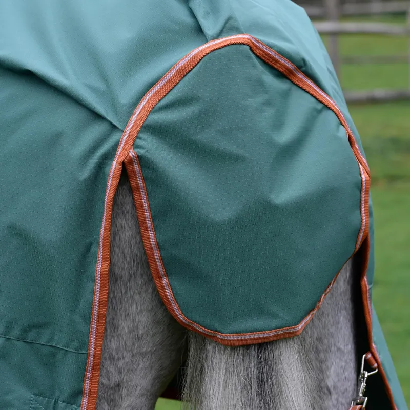 WeatherBeeta ComFiTec Tyro 50g Standard Neck Turnout Rug Plus - Green-4