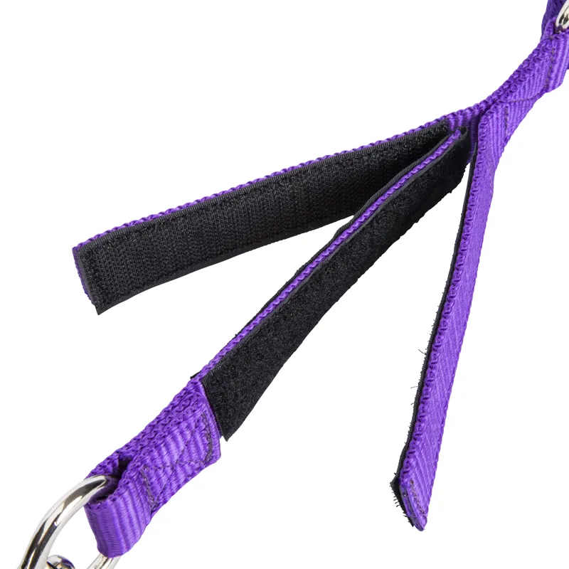 Shires ARMA Breakaway Trailer Tie - Purple-1