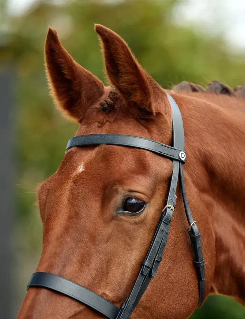 Dublin Flat Cavesson Bridle - Black-1