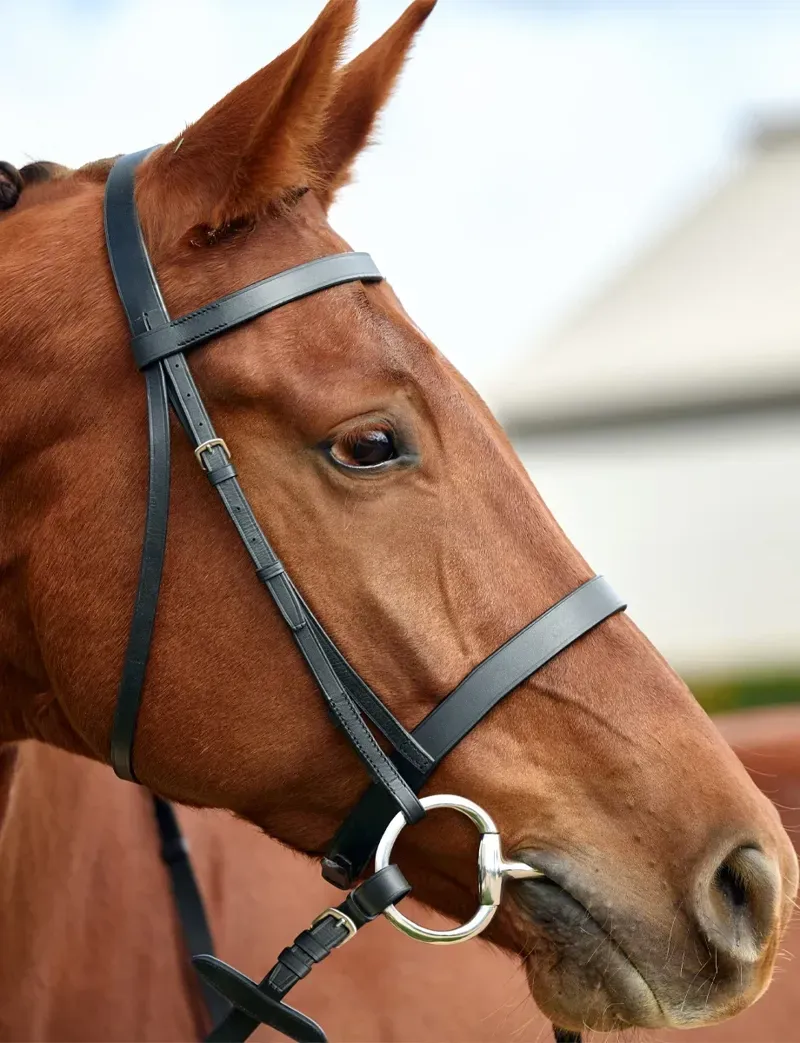 Dublin Flat Cavesson Bridle - Black-2