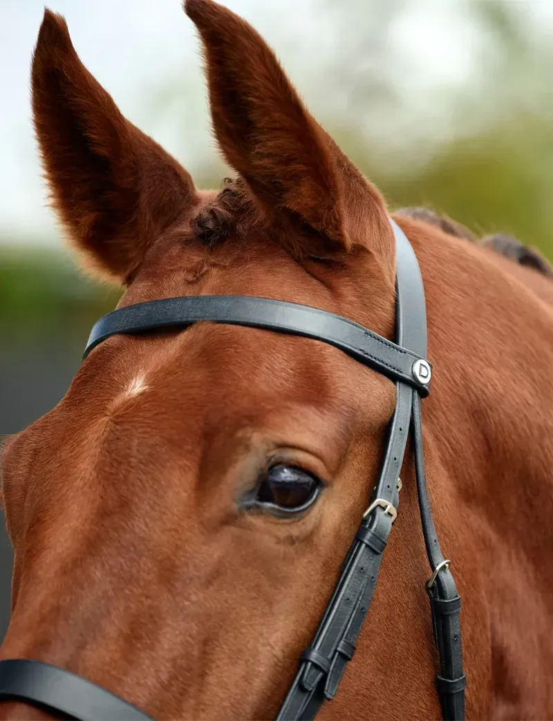 Dublin Flat Cavesson Bridle - Black-3