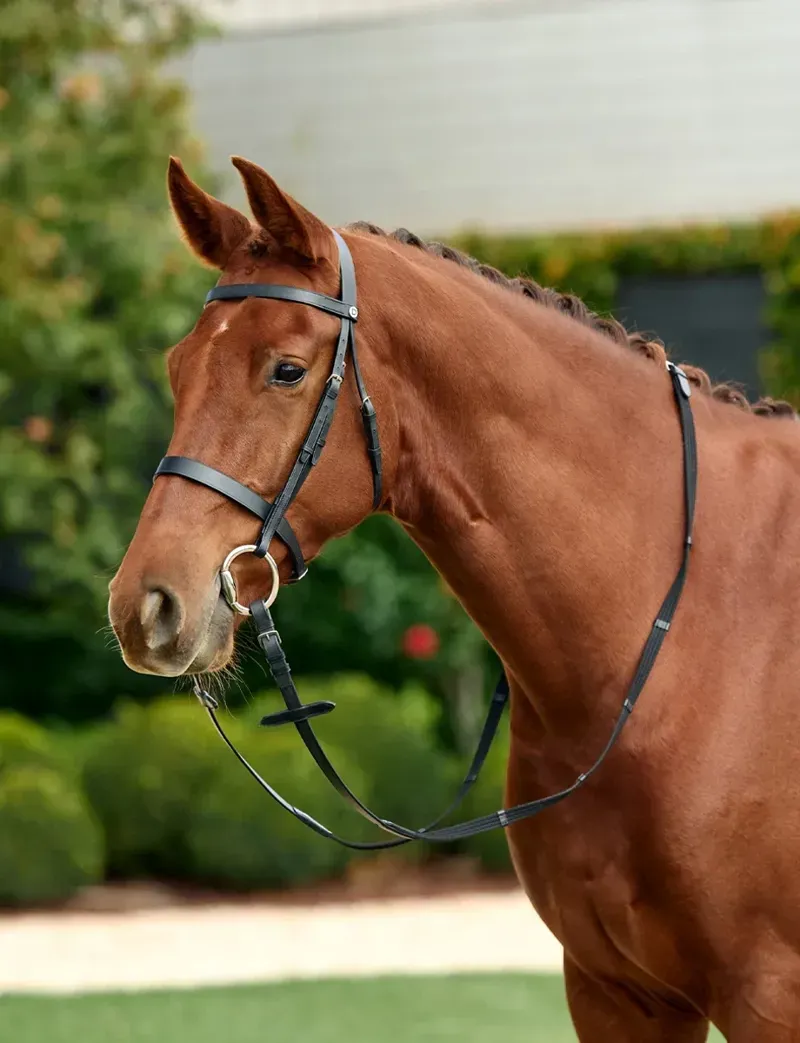 Dublin Flat Cavesson Bridle - Black