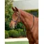 Dublin Flat Cavesson Bridle - Black
